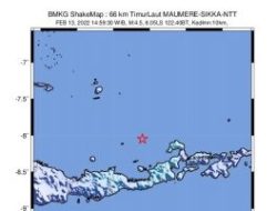 Gempa Bumi Magnitudo 4,5 Guncang Maumere, Tak Berpotensi Tsunami