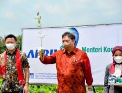 Menko Airlangga: Reforestrasi Dorong Akselerasi Pertumbuhan Green Economy