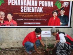 Rayakan HUT Megawati Soekarnoputri, PDI Perjuangan NTT Tanam Pohon