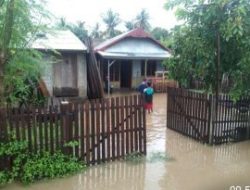Rumah dan Sawah Terendam Banjir, Ribuan Warga Terancam Lapar