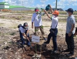 PT MSM Luncurkan Gerakan Sumba Manis Hijaukan Sumba dengan Menanam 5.000 Pohon