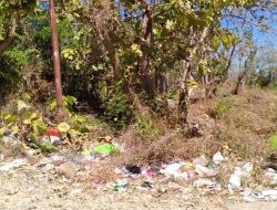 Tempat Pembuangan Sampah Kurang, Masyarakat Perumahan BTN Kolhua Resah