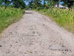 Matim Dapat DAK Rp 70,2 Miliar Bangun Jalan, Pinjaman Daerah Batal Tender