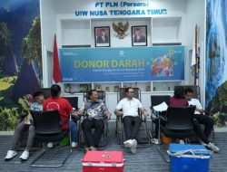 Peduli Kemanusiaan, PLN Gandeng PMI Gelar Aksi Donor Darah