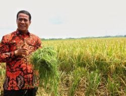 Giliran PKS Papua Barat, Papua Barat Daya dan Lampung Usulkan AAS Dampingi Anies Baswedan
