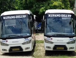 Bus Rute Kupang-Dili Siap Beroperasi, Ini Jadwal dan Harga Tiket