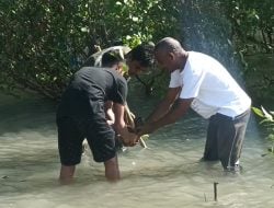 Lestarikan Alam, Siswa SMP-SMA Tunas Bangsa Tanam Mangrove