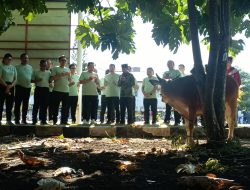 Wakajagung Serahkan 13 Ekor Sapi untuk Warga Kota Kupang