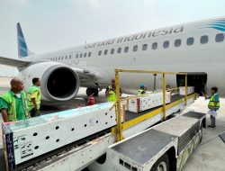Angkut 6 Komodo dari Jakarta ke Labuan Bajo, Garuda Indonesia Dukung Konservasi Satwa Endemik