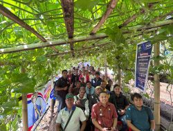 Program Desa Berdaya, PLN UIP Nusra Gelar Pelatihan Hortikultura untuk Warga Sekitar PLTP Ulumbu di Poco Leok