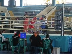 Raih Kemenangan Pertama, Empat Atlet Tinju Papua Barat Peluang Lolos ke PON Aceh-Sumut 2024
