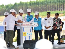 Hadirkan 100 Persen Energi Bersih di IKN, PLTS PLN 50 MW Mulai Dibangun