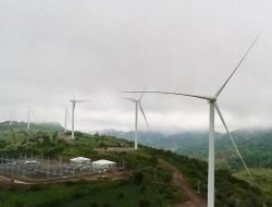 Kaji Potensi Energi Angin di Indonesia, PLN Jalin Kolaborasi Dengan Powerchina