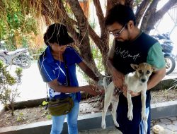 Distan Massifkan Vaksinasi Anjing, Putus Penularan Virus Rabies di Kota Kupang
