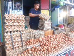 Harga Beras dan Telur Terus Melonjak Menjelang Hari Raya Idul Fitri