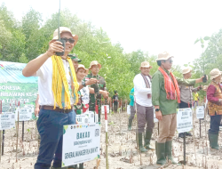 PLN Luncurkan Program Rehabilitasi Mangrove 20 Hektare