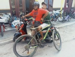 Curi Sepeda, Pemuda Lasiana Ditangkap Polisi