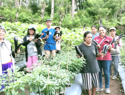 PLN Mengubah Ekonomi Masyarakat di Poco Leok