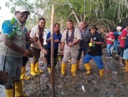 Tanam Anakan Mangrove di Pantai Oesapa