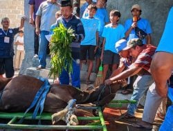 Penyembelihan Hewan Kurban Berlangsung Khidmat