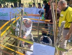 Peduli Lingkungan, Pihak PT MSM dan SMKN 1 Pandawai Tanam Ratusan Pohon