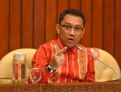 DPP PDIP Tugaskan Ansy Lema di Pilkada NTT