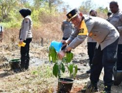 Hijaukan Kota Kupang dengan Tanam Anakan Pohon