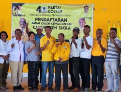 Paket Stela Daftar Ke Golkar Jelang Survei ke-2