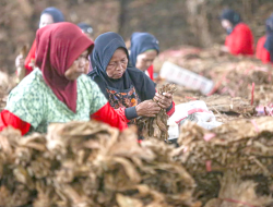 Perlindungan terhadap Segmen Sigaret Kretek Tangan Dinilai Masih Lemah