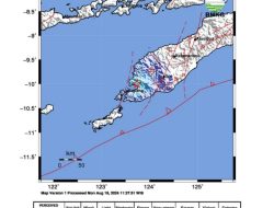 Gempa Bumi 4,3 Magnitudo Guncang Kupang