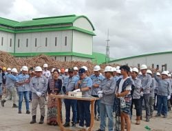 Ritual Adat Marapu Awali Penebangan dan Penggilingan Tebu PT MSM