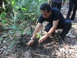 Pj Bupati Tanam Anakan Pohon di Baumata