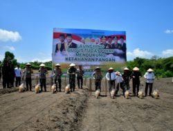 Tanam Jagung, Wujudkan Ketahanan Pangan di NTT