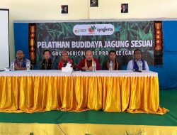 Pertahankan Predikat Kabupaten Penghasil Jagung Terbesar